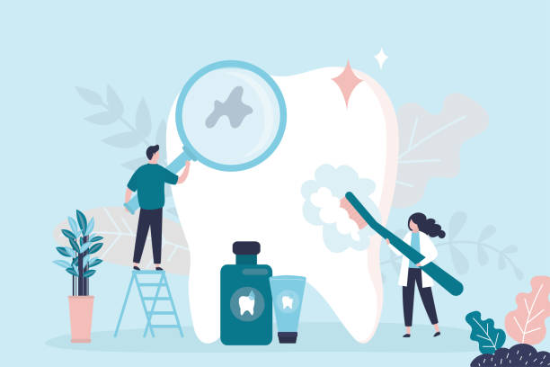 Cameron Park, CA  Holistic Dental Services Company